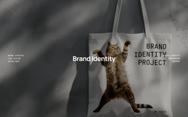 Brandepth Image Example
